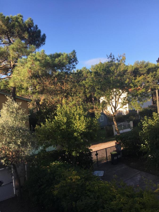 Villa L'Amiraute Agde Zewnętrze zdjęcie
